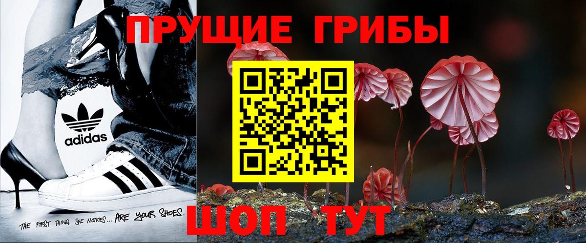 Усть-Джегута  Галлюциногенные грибы мухоморы  Вход с VPN 